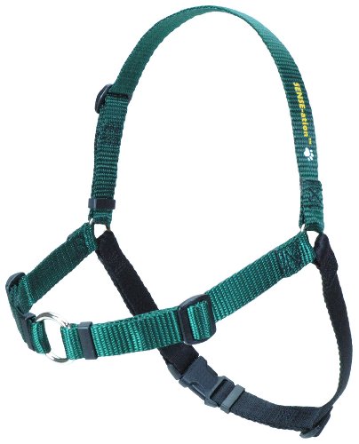 SENSE-ation No-Pull Dog Harness - Green with Black Medium/Large (Narrow)