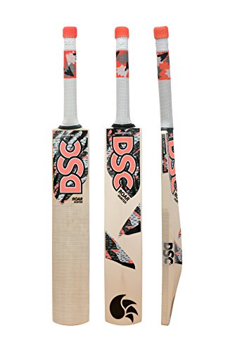 DSC Roar Hunter Kashmir Willow Cricket Bat Size 2