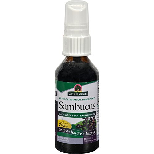 Nature's Answer Sambucus Spray ( Pack of 2 ) | Supports a Healthy Immune System | Infused with Slippery Elm, Sage & Echinaea | Alcohol-Free, Gluten-Free, Kosher Certified & No Preservatives 2oz