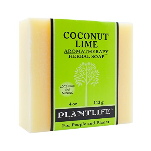 Plantlife Coconut Lime Bar Soap - Moisturizing and Soothing Soap for Your Skin - Hand Crafted Using Plant-Based Ingredients - Made in California 4oz Bar