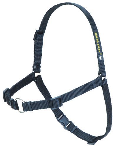 Sense-ation No-Pull Dog Harness - Black XSmall