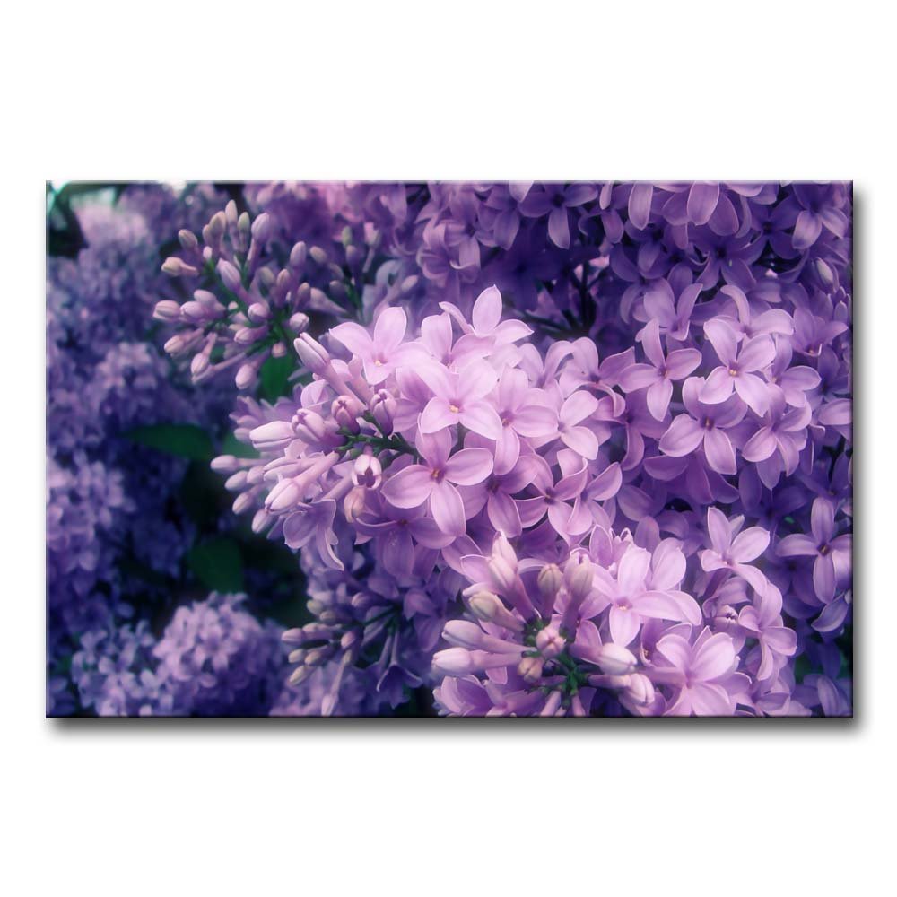 So Crazy Art- Lilac Wall Art Decor Blooming Purple Flowers Canvas Pictures Artwork 24x36inch Plant Painting Prints for Home Living Dining Room Kitchen