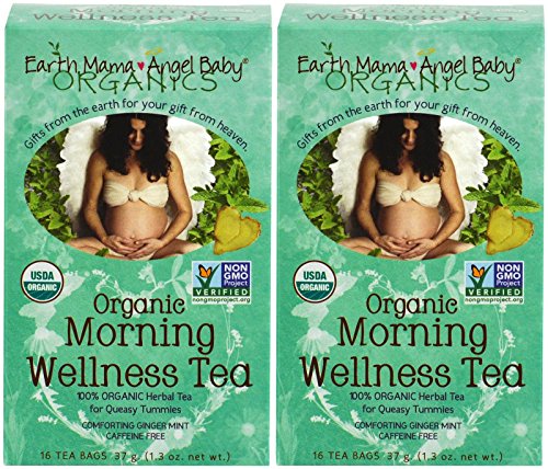 Earth Mama Angel Baby Organic Morning Wellness Tea