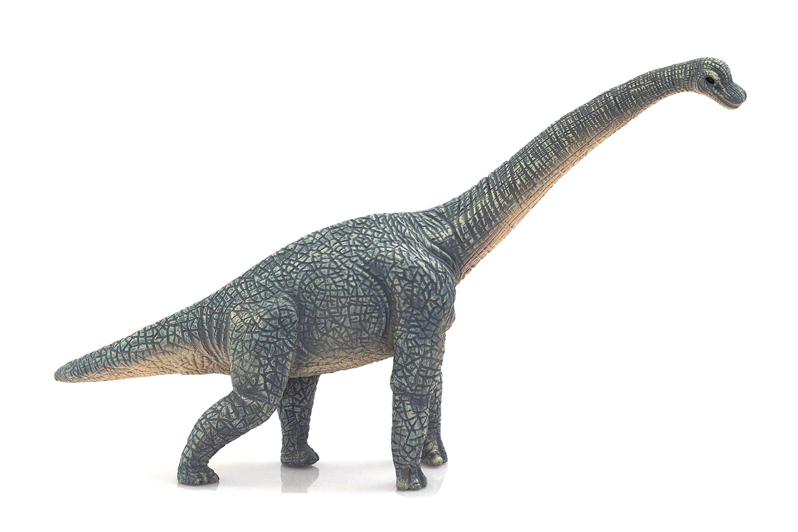 MOJO Brachiosaurus Dinosaur Prehistoric Model Toy Figure