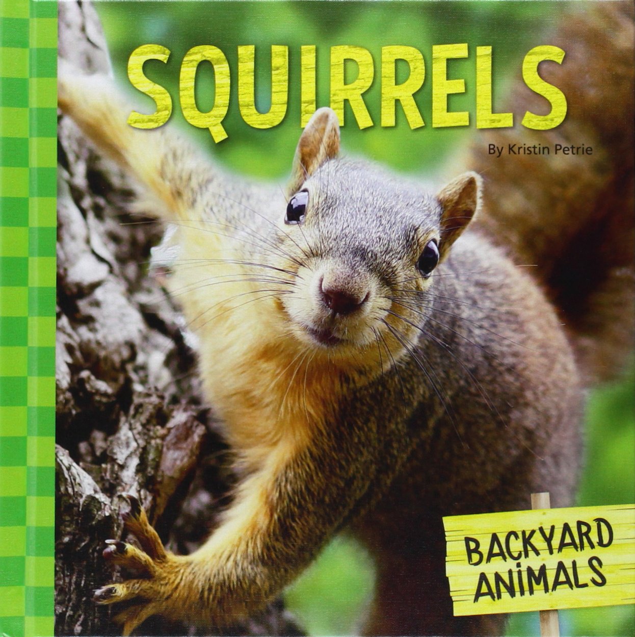 Squirrels Backyard Animals Kristin Petrie 9781624036637