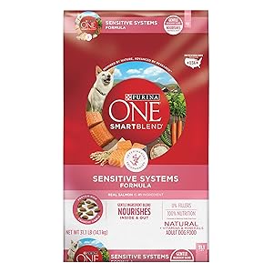 Purina ONE SmartBlend Natural Sensitive Systems Formula Adult Dry Dog Food