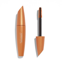 COVERGIRL LashBlast Volume Mascara