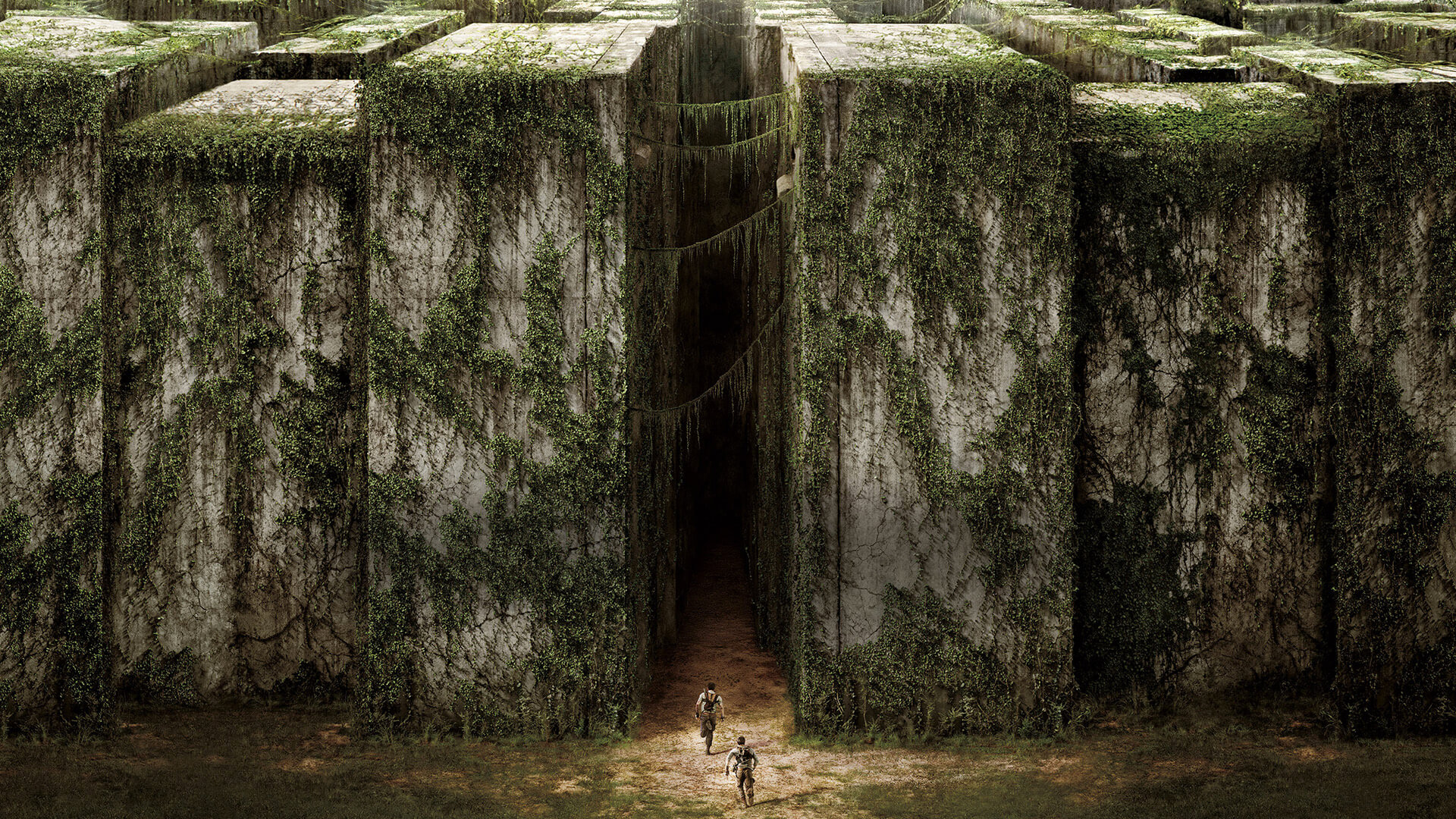 Maze Runner Book Wallpaper