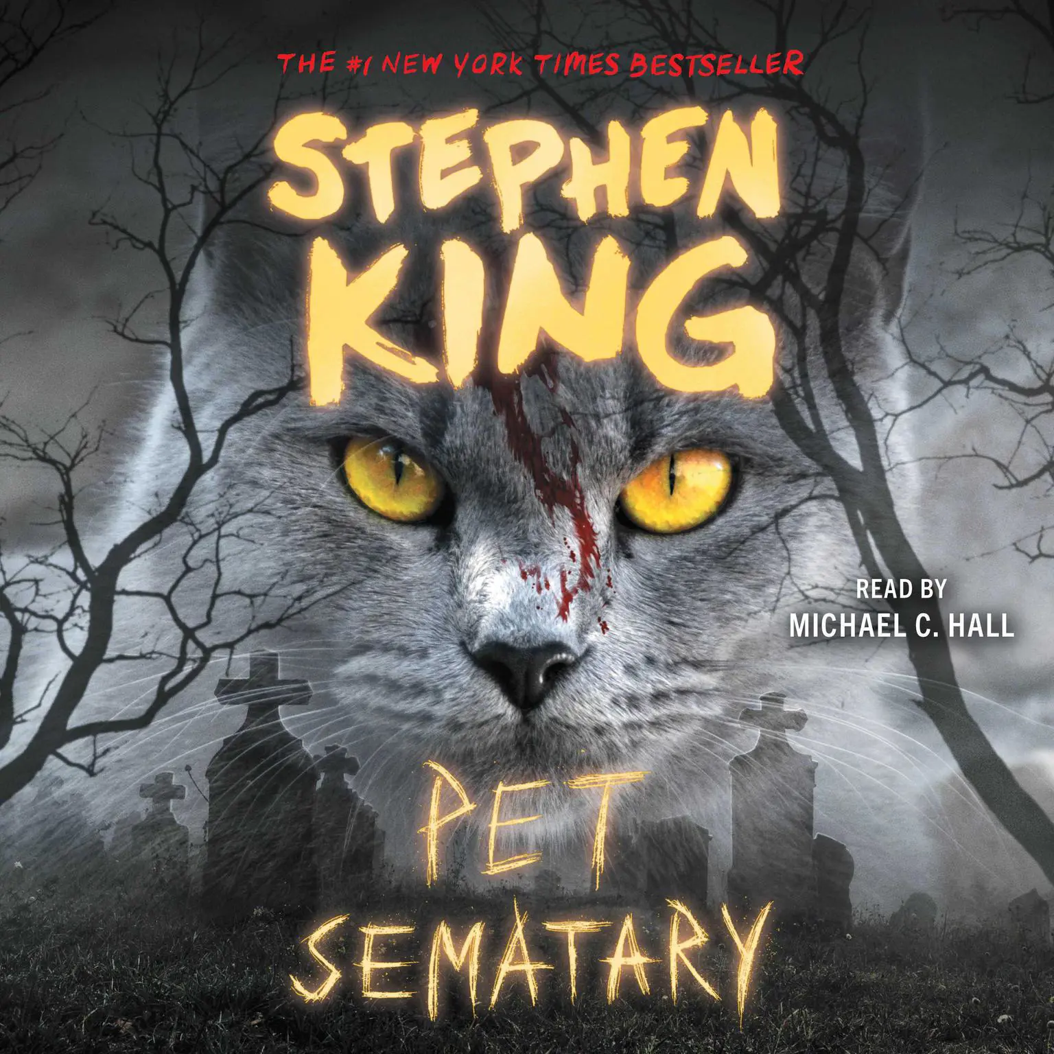 Pet Sematary: A Novel Audiobook, by Stephen King