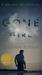 Gone Girl by Gillian Flynn