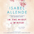 In the Midst of Winter by Isabel Allende