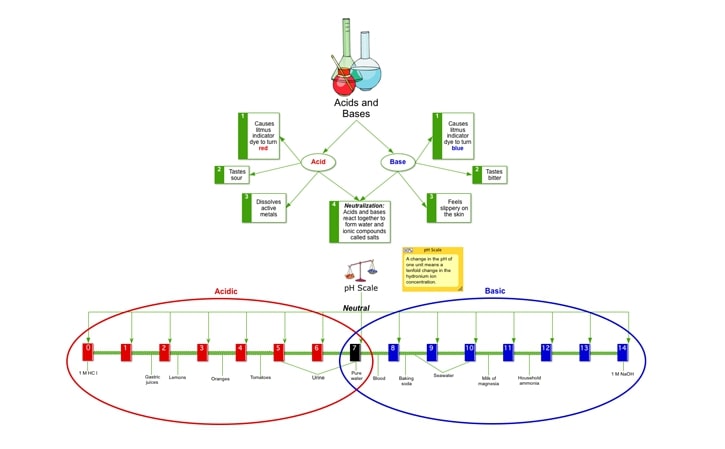 Concept mapping in science