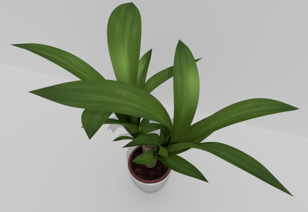 Indoor Pot Plant 2 royalty-free 3d model - Preview no. 4