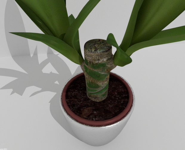 Indoor Pot Plant 2 royalty-free 3d model - Preview no. 7