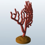 Gorgonian Soft Coral v1 modelo 3d