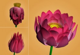 Lotus Flower Rig 3d model