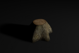 Tree trunk 3d model