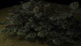 tree 3d model