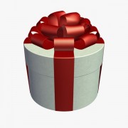 Gift Box v1  3d model