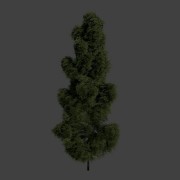 Green Pine 3d model