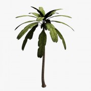 Palm tree v1 3d model