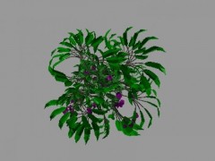 flower 07 3d model