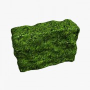  Rectangular Box Hedge  3d model