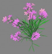 flower 9 3d model