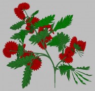 flower 25 3d model