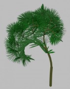 tree 01 3d model