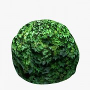 Round Box Hedge v1  3d model