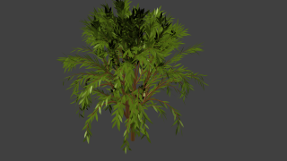 low poly tree 3d model