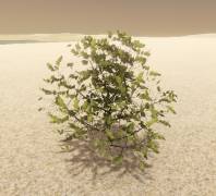 Small Bush 3d model