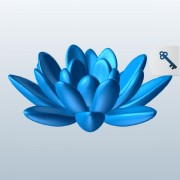 HinduismLotus Flower V1  3d model