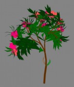 flower 6 3d model