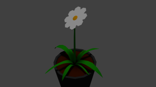 Potted Plant 3d model