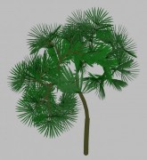 tree 02 3d model