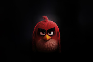 Angry Birds Dark 5k (2560x1600) Resolution Wallpaper