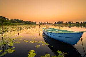 Boat Lily Water Lake (320x240) Resolution Wallpaper