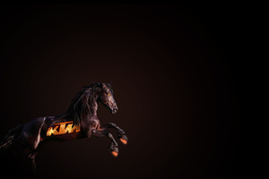 Ktm Horse Wallpaper