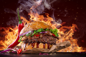 Hot Spicy Burger (1280x1024) Resolution Wallpaper