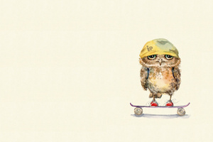 Owl On Skateboard Wallpaper