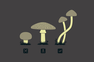 Mushroom Minimalism Wallpaper