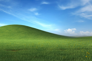 Windows Xp In Nature (1152x864) Resolution Wallpaper