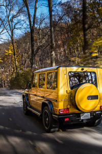 Mercedes AMG G63 Rear (1080x2160) Resolution Wallpaper