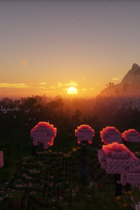 Minecraft Sunset (640x1136) Resolution Wallpaper