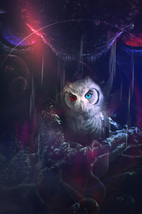 Owl 8k (360x640) Resolution Wallpaper