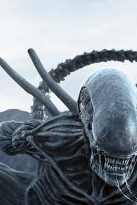 Alien In Alien Covenant (360x640) Resolution Wallpaper