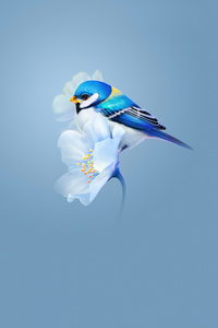 Bird Sitting On Flower (360x640) Resolution Wallpaper