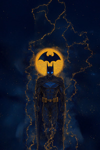 Cape And Cowl Batman (1440x2560) Resolution Wallpaper